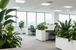 如何选择可靠的绿植租赁服务商？专业建议助您决策