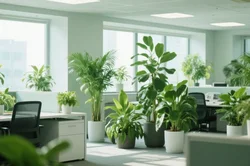 绿植租赁后植物状态不佳怎么办？极速响应的售后机制