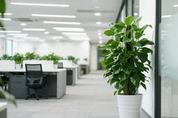 企业绿植租赁维护成本高？每周上门养护+72小时枯损免费更换承诺