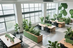 绿植租赁如何助力企业打造健康办公环境？专业方案解析