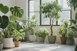 常熟店铺搬迁哪里好？全方位指南助您顺利启程