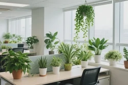 龙港办公楼搬家服务，优选云渡搬家