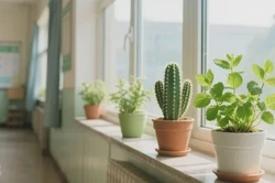 专业企业搬家：高效安全省心