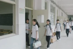 天长学校搬家排名：选择更优搬迁方案