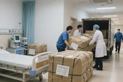 马鞍山店铺搬迁排行榜：选择可靠搬家服务的指南